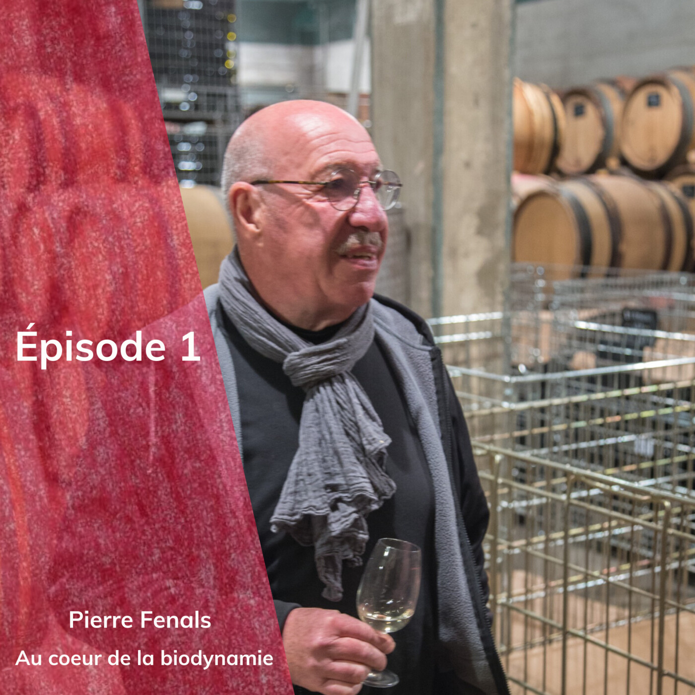 Episode 1 : Pierre Fenals, au coeur de la biodynamie