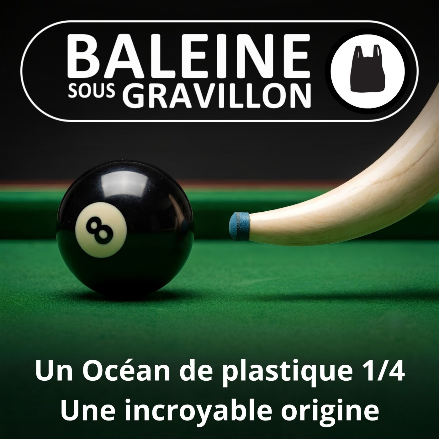 S02E66 Océan Plastique 1/4 : De la petite à la grande histoire (Nelly Pons) episode artwork