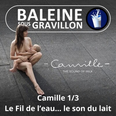 S08E09 Camille... sous le gravillon 1/3 : "Dans la nature, tout est vibration, tout est musique..." cover