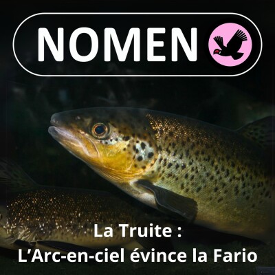 Show cover