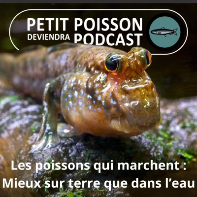 S05E08 Les Poissons marcheurs cover