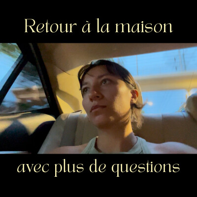Le choc du retour au pays : survivre au chaos & réflexions existentielles cover