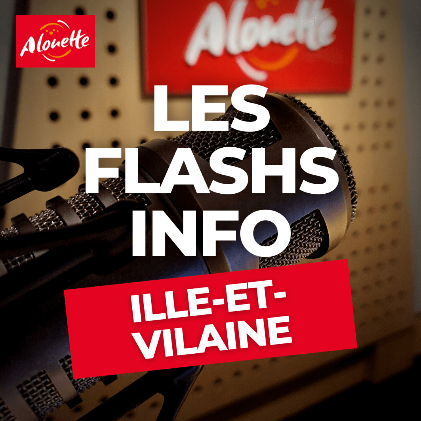 Alouette - Les Infos du 16 Mars 18h30 en Ille-et-Vilaine.