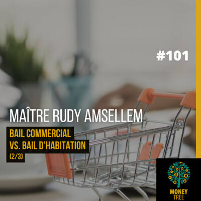 #101 [CAPS] Bail commercial vs. bail d'habitation 2/3 (Maître Rudy Amsellem) cover