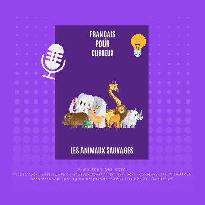 Les expressions curieuses en français : les animaux sauvages cover