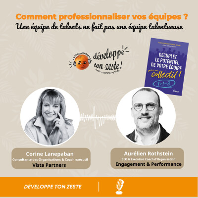 Comment professionnaliser vos équipes ? Interview de Aurélien ROTHSTEIN cover