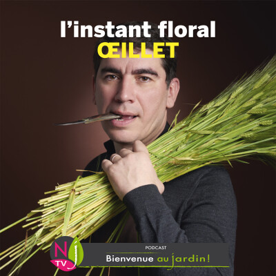 #85: L’INSTANT FLORAL : LES OEILLETS cover