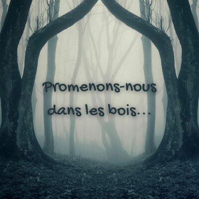 Episode #50 - Multisode (avec invitée) cover