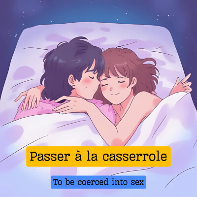 Passer à la casserole cover