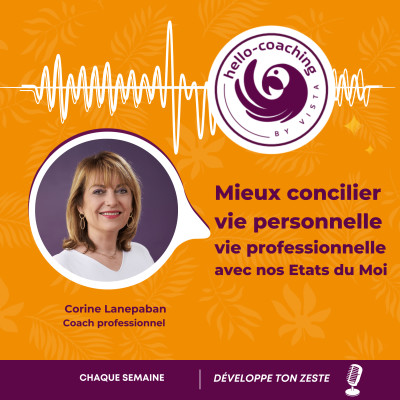 Mieux concilier vie personnelle vie professionnelle avec nos Etats du Moi cover