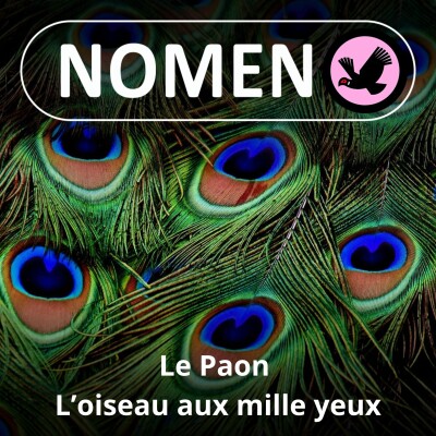 S01E87 Le Paon : Un bellâtre qui a commencé sa carrière comme "indic" d'une déesse jalouse... cover