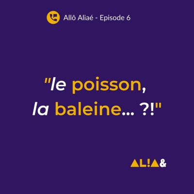 Comment savoir le genre des mots en français ? cover