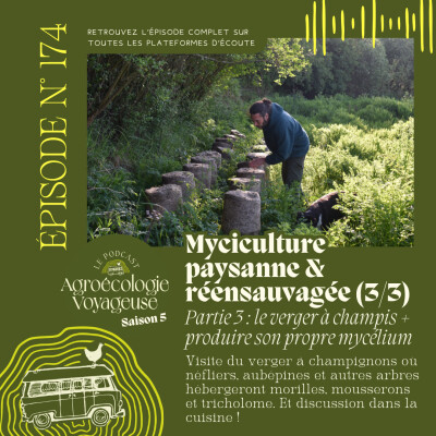 #174 Kebell Touseg 🪺 Ferme Mycicole Paysanne & Réensauvagée (3/3) Le Verger à Champignons & Faire son Propre Mycélium cover