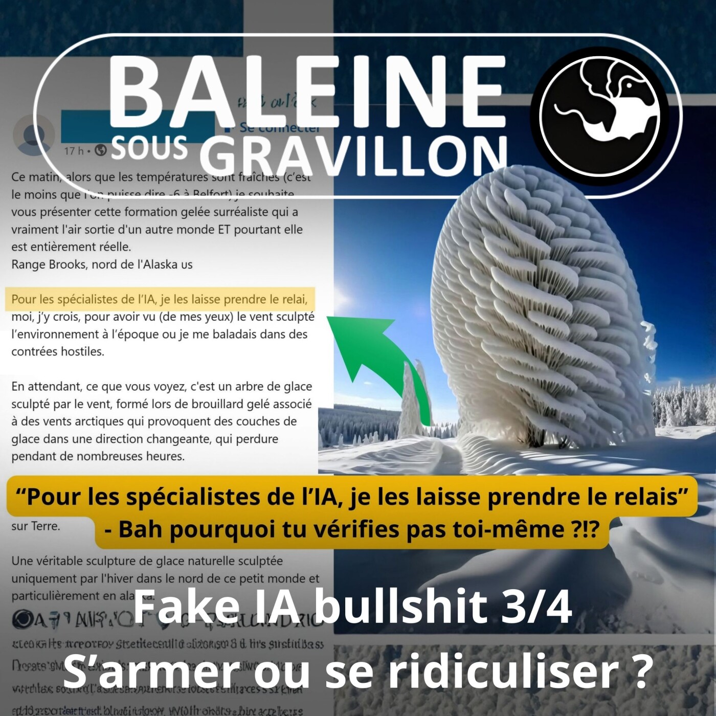 Baleine sous Gravillon