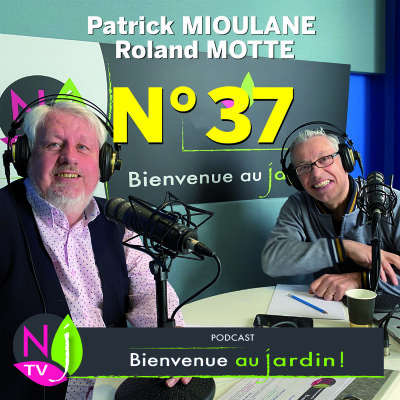 EMISSION #37 du 8 JANVIER 2022 - L'INTEGRALE cover