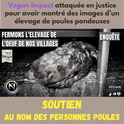 Au nom des poules cover