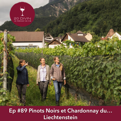 20 Divin #89 : Pinots Noirs et Chardonnay du...Liechtenstein cover