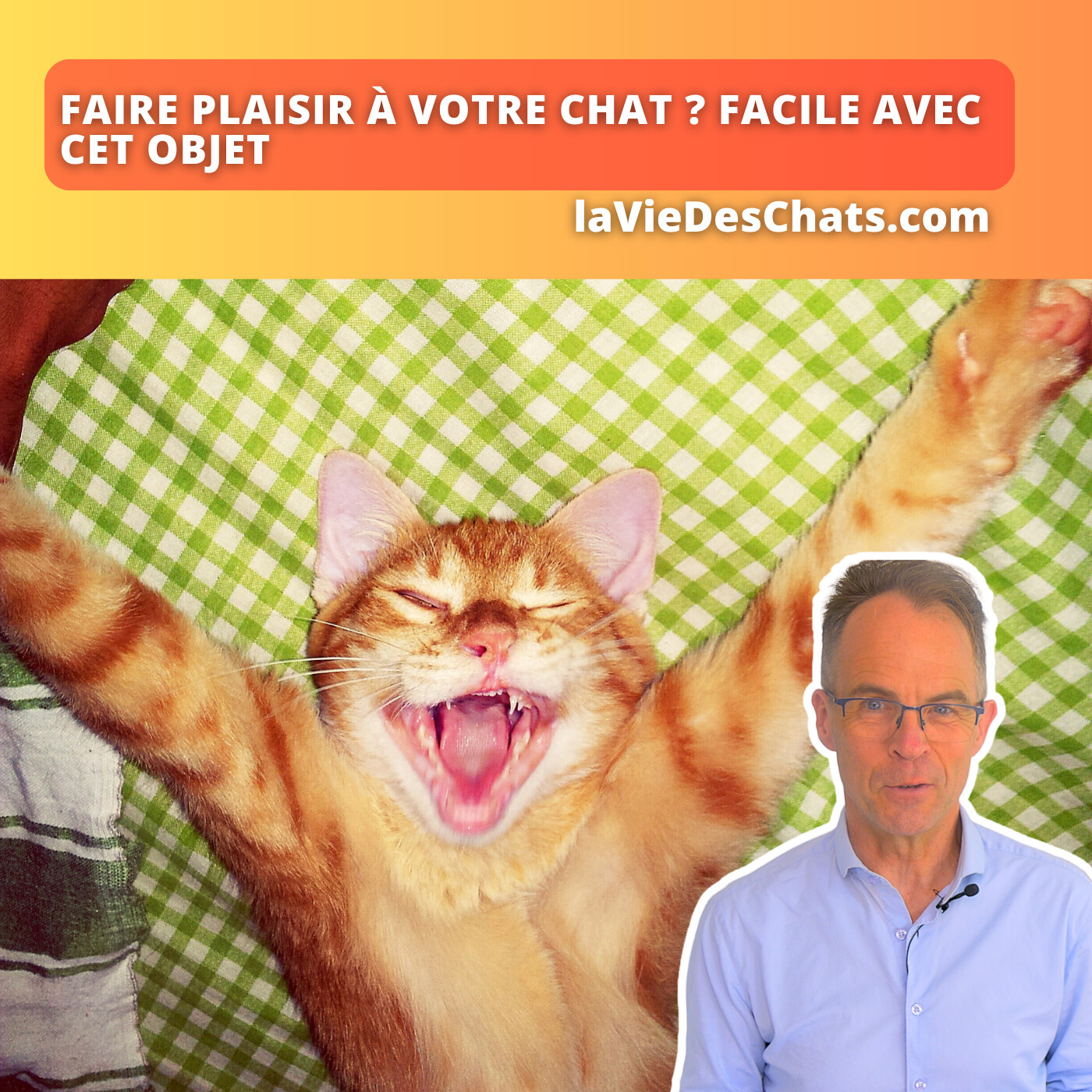 laVieDesChats