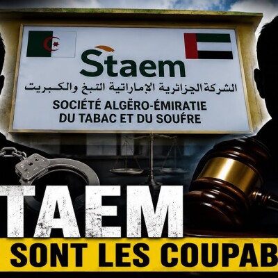 Scandale STAEM : Révélations sur les 2 corrompus qui visent le poste de DG !  cover