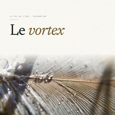 Le vortex cover