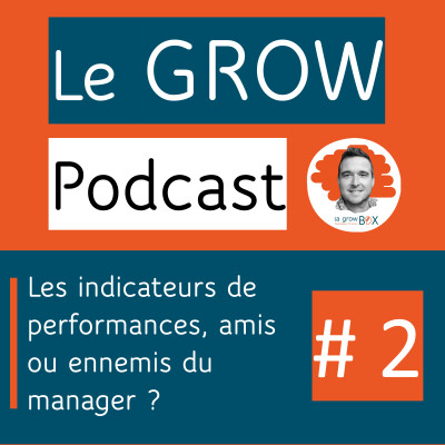 Les Indicateurs de performance, amis ou ennemis du manager ? cover