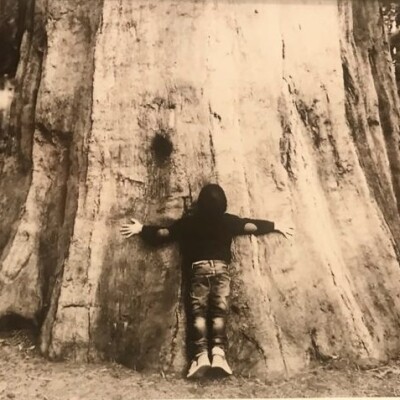 Tant qu'il y aura des Arbres S01E22 – Stéphanie Dutertre cover