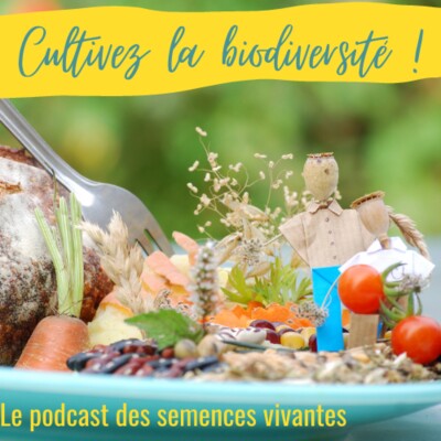 [REDIF] E10 Part2 - D’une graine aux autres, réenchanter les « variétés anciennes », ou faire du neuf avec du vieux cover