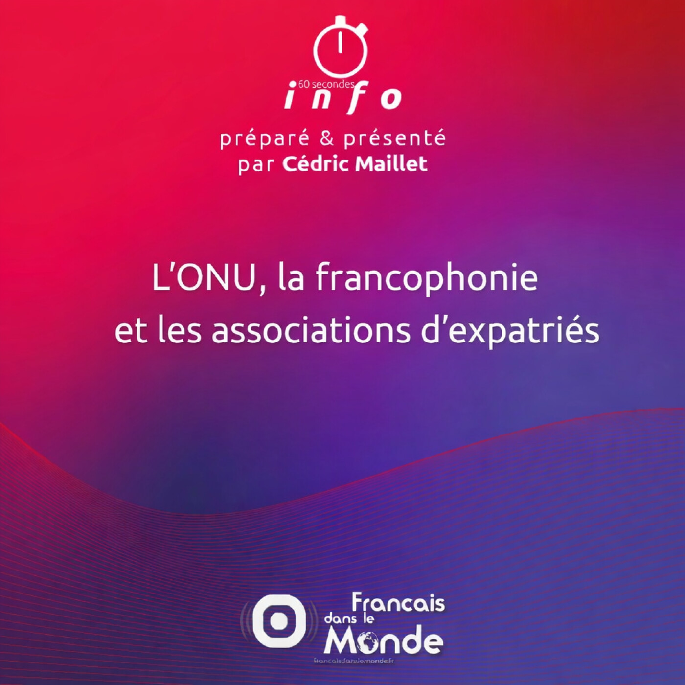 L’ONU, la francophonie et les associations d’expatriés