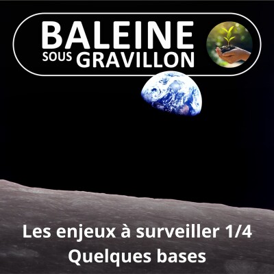 S03E96 Les grands enjeux à surveiller 1/4 : avec Maxime Thuillez du Greenletter Club cover