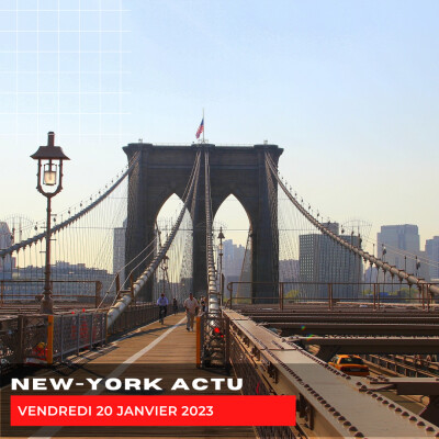 Vendredi 20 janvier cover