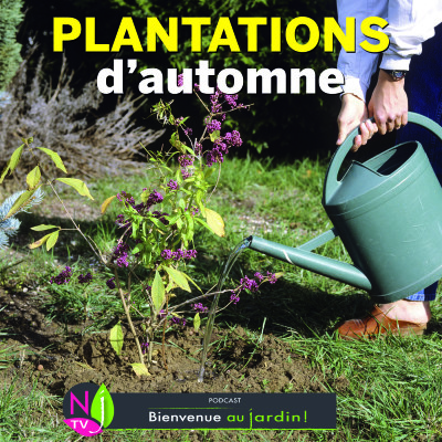 LE DOSSIER: PLANTER À L’AUTOMNE C’EST BIEN MIEUX ! cover