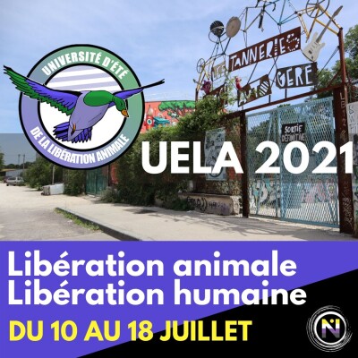 UELA 2021, un programme de libération animale et humaine cover