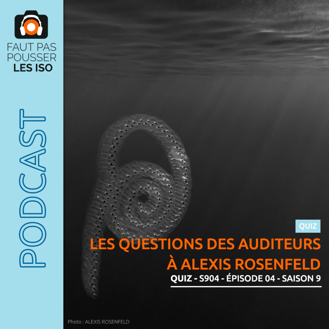 LE QUIZ - S904 - 5 QUESTIONS À ALEXIS ROSENFELD