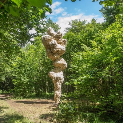 Vent des Forêts : de l'art en pleine nature ! cover