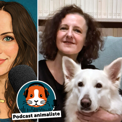 22. SOS Maltraitance animale : dans les coulisses du 3677 cover