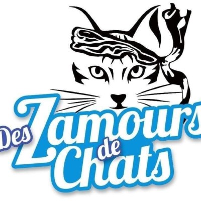 2022.08.02 INVITES Association Des Z'amours de chats cover