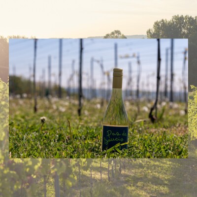 Colruyt launches Pas de Soucis cover