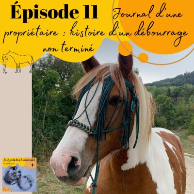 11 - Journal d'une propriétaire #1 - Histoire d'un débourrage non terminé ... cover
