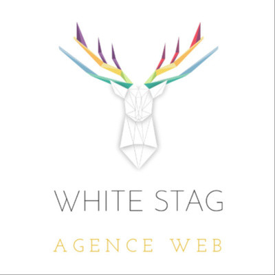 02 - Les 4 secrets d'un site web qui convertit cover