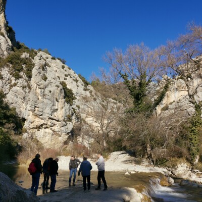 Bonne année les amis cover