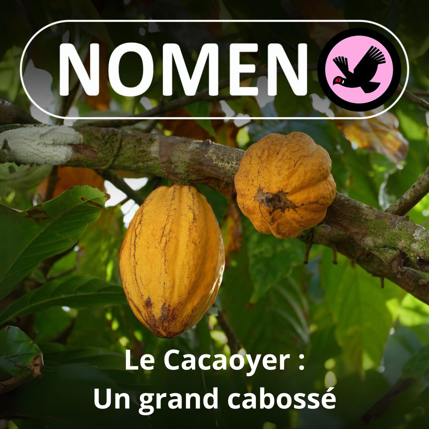 Nomen