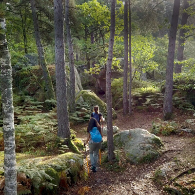 Chaussez-vous bien ! On vous emmène à Fontainebleau ! cover