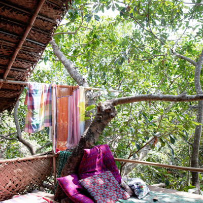 Tant qu'il y aura des Arbres S01E28 – Julie Ansiau cover