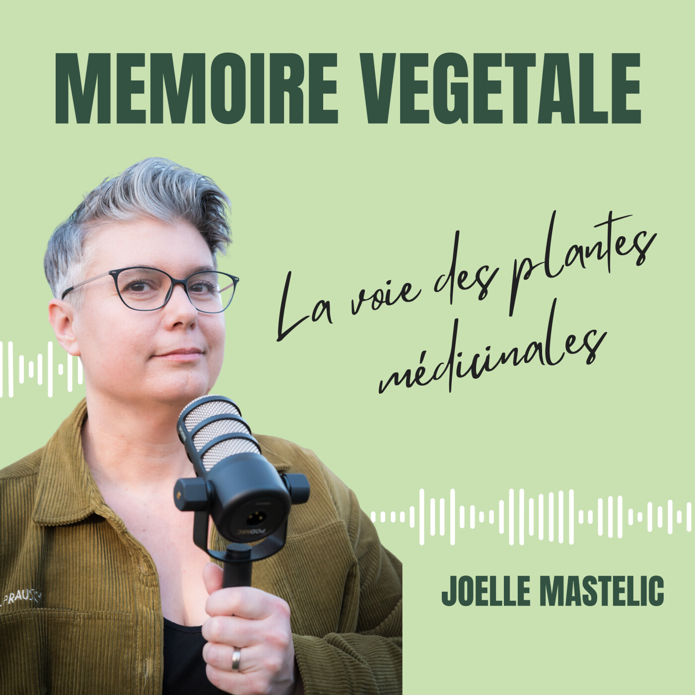 Mémoire végétale : la voie des plantes médicinales