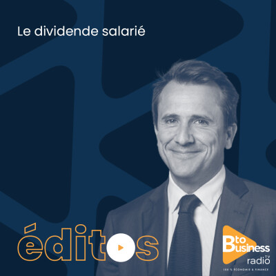 Le dividende salarié | Thibault Lanxade, Président-Directeur Général du Groupe Luminess cover
