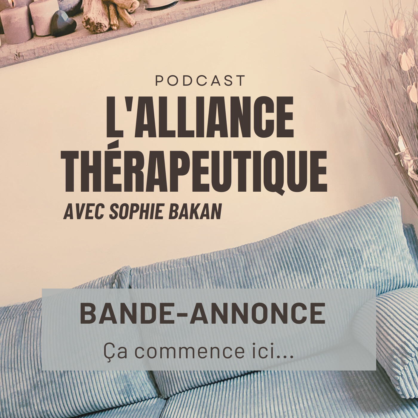 L\'Alliance Thérapeutique