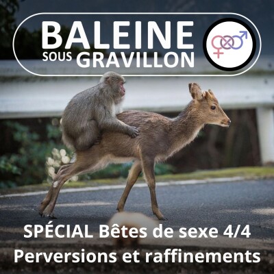 Bêtes de sexe 4/4 : Perversions et raffinements (Matthieu Keller) cover