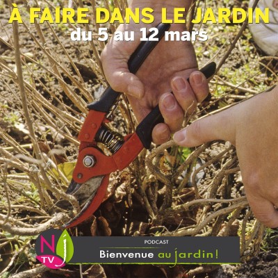 QUE FAIRE DANS LE JARDIN DU 05 MARS AU 12 MARS ? cover