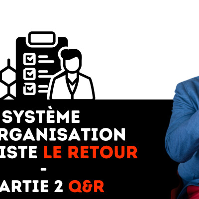 331 - Système d'Organisation Réaliste le retour - Partie 2 cover