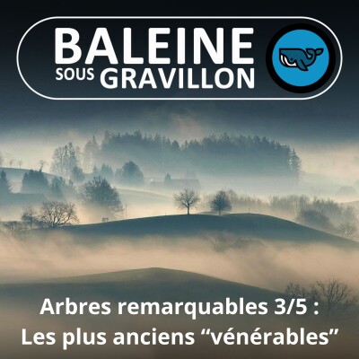 S05E63 Arbres remarquables 3/5 : Les plus anciens (Georges Feterman) cover